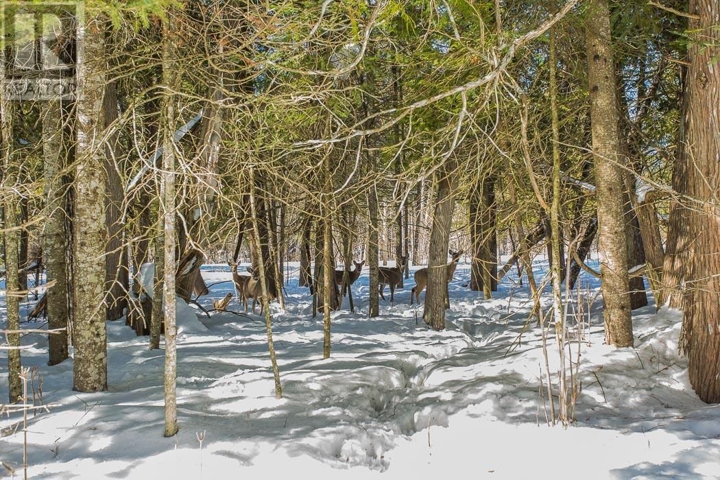 3515 HURON LINE RD Image 45