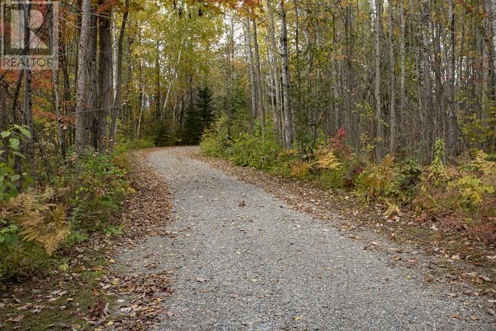 200 WATSON RD Image 50