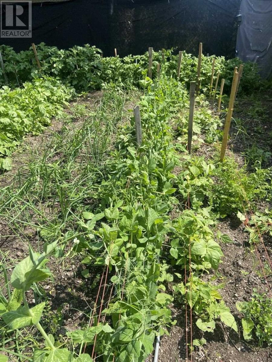 178 WELLINGTON ST Image 7