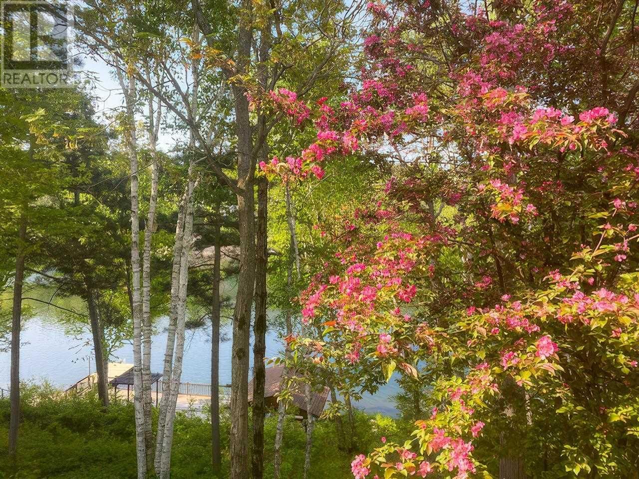 1161 LAU CAMP RD Image 46