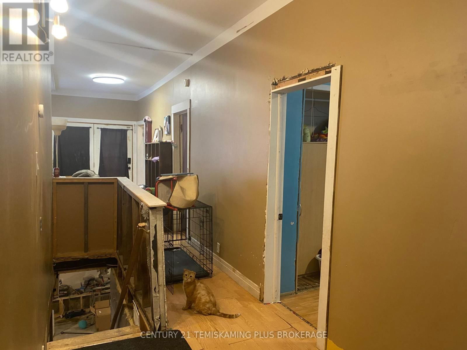 53 COBALT STREET Image 5
