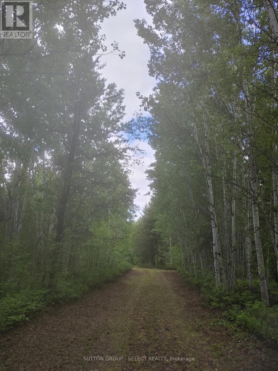 LOT 5 CON 1 ROAD Image 24