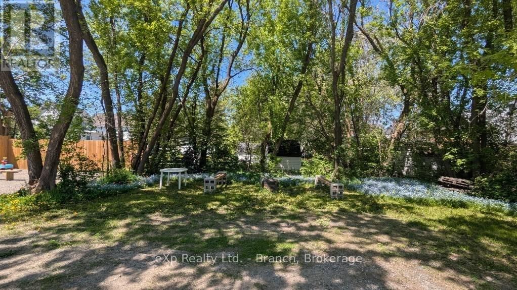131-133 WHITEWOOD AVENUE Image 5