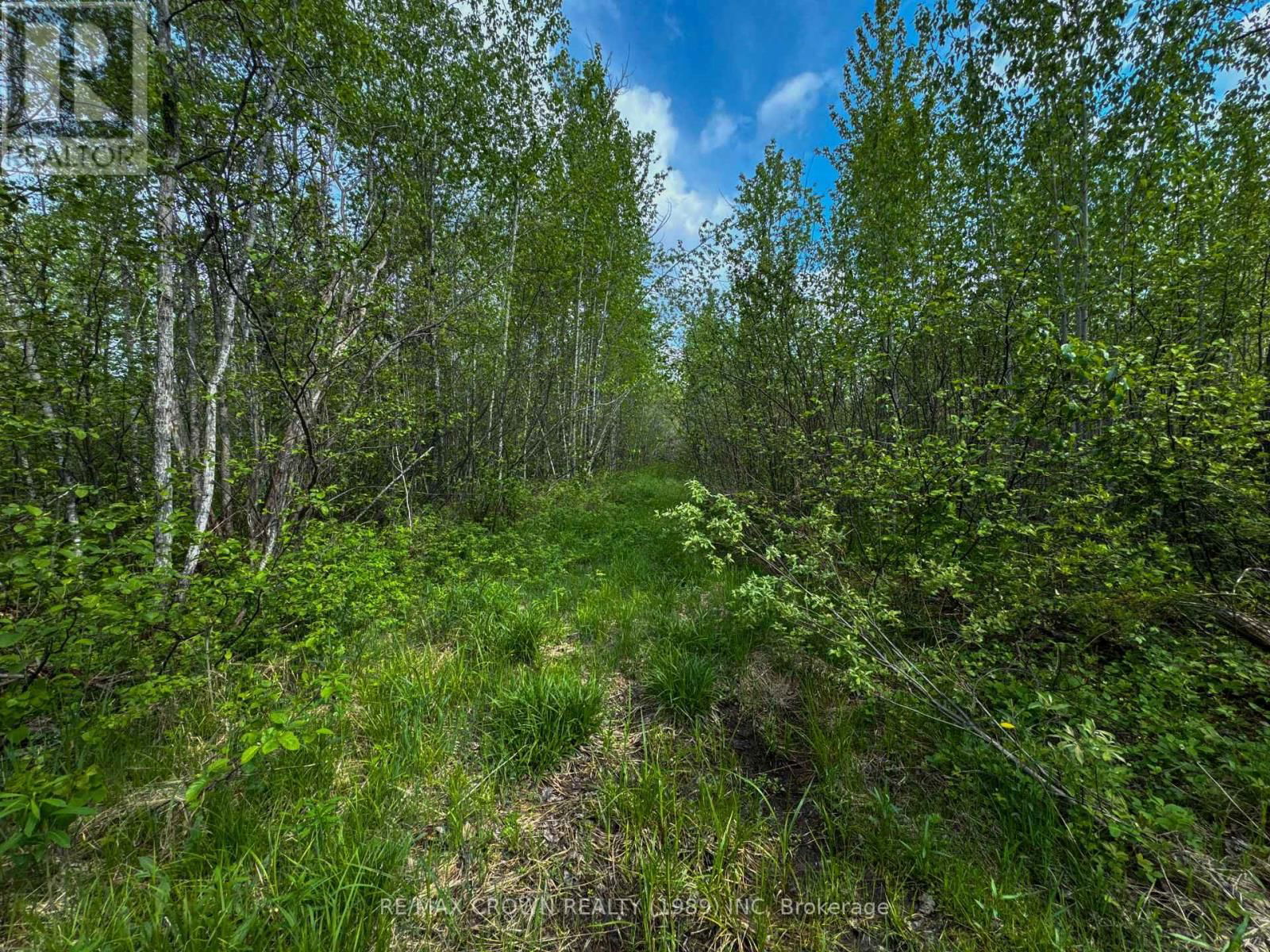 Lot 5 CONCESSION 3 Image 33