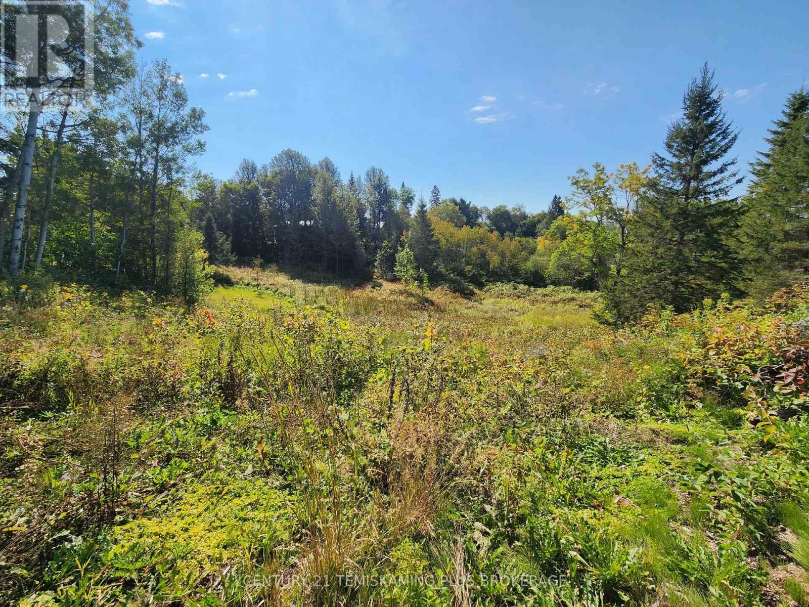 LT 7-9 MAIN STREET Image 13