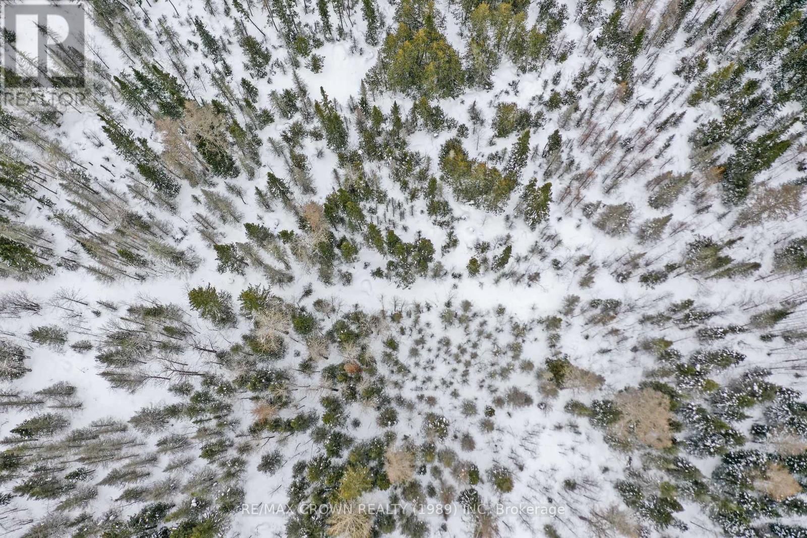 319 HIGHWAY 11 Image 15