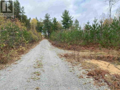 L1 Con 5 Road  Timiskaming Remote Area, P0J1H0 | Image 1