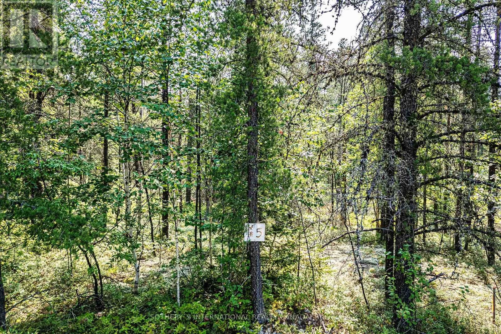 LOT 2 NORTH MUNRO LAKE ROAD Image 12