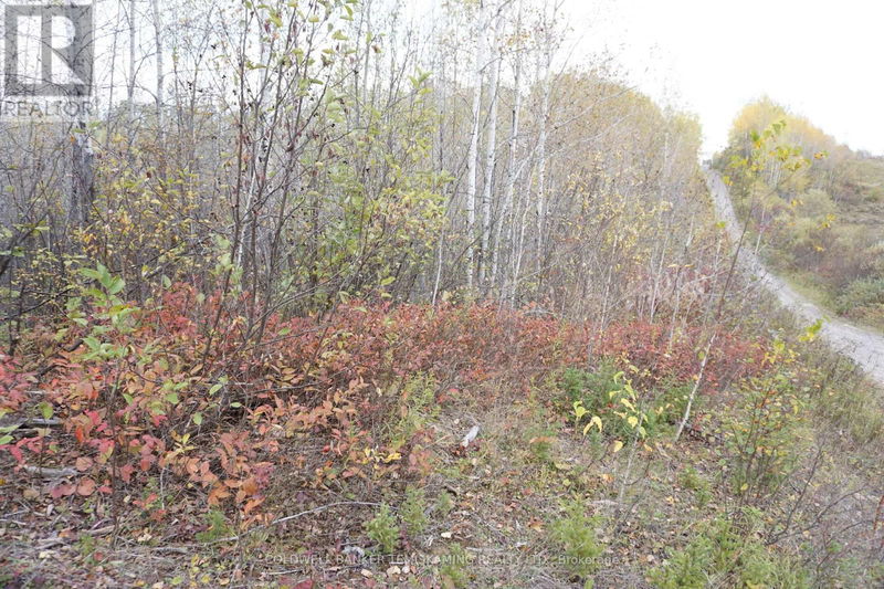 Lot 1A CAMPBELLS Road  Timiskaming Remote Area, P0J1B0 | Image 1