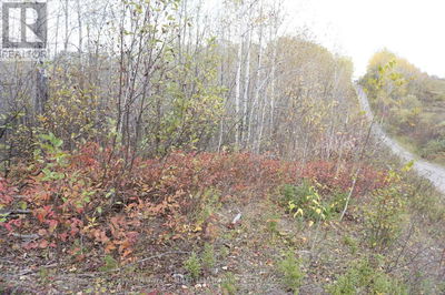 Lot 1A CAMPBELLS Road  Timiskaming Remote Area, P0J1B0 | Image 1