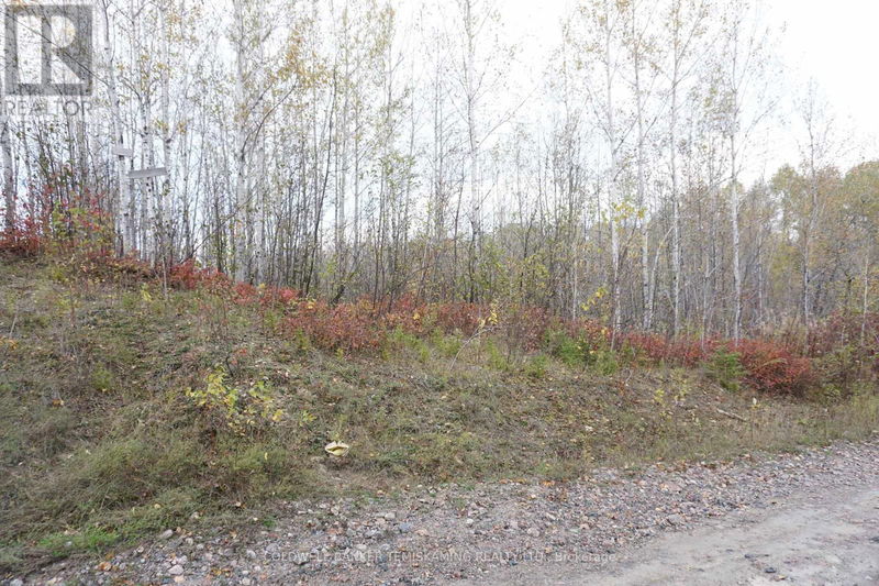 Lot 1A CAMPBELLS Road  Timiskaming Remote Area, P0J1B0 | Image 11