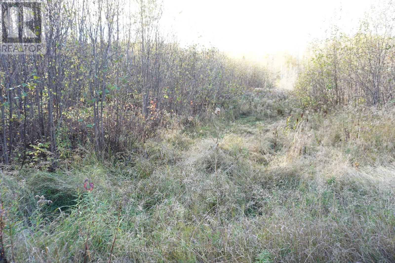 Lot 1A CAMPBELLS ROAD Image 12