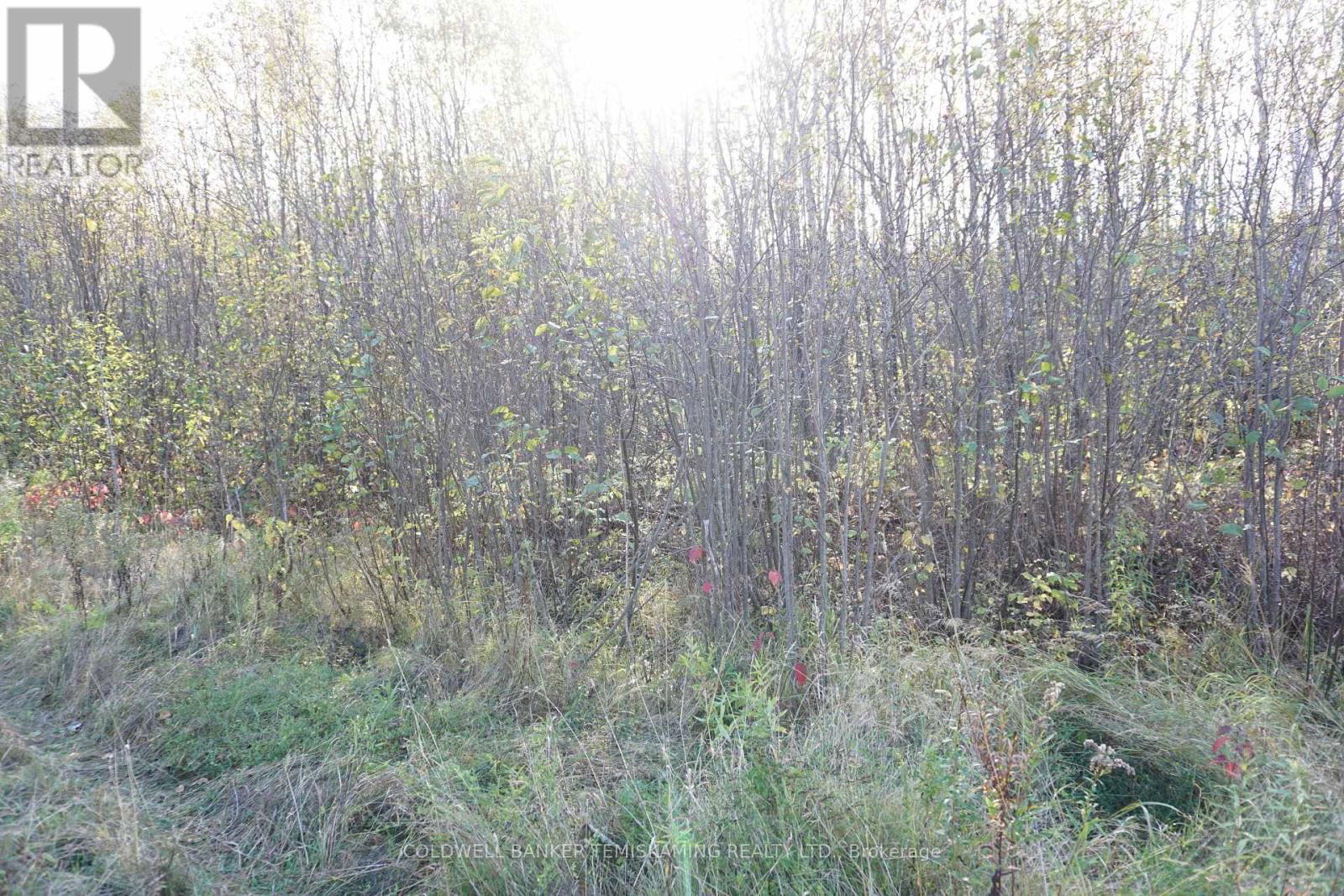 Lot 1A CAMPBELLS ROAD Image 13