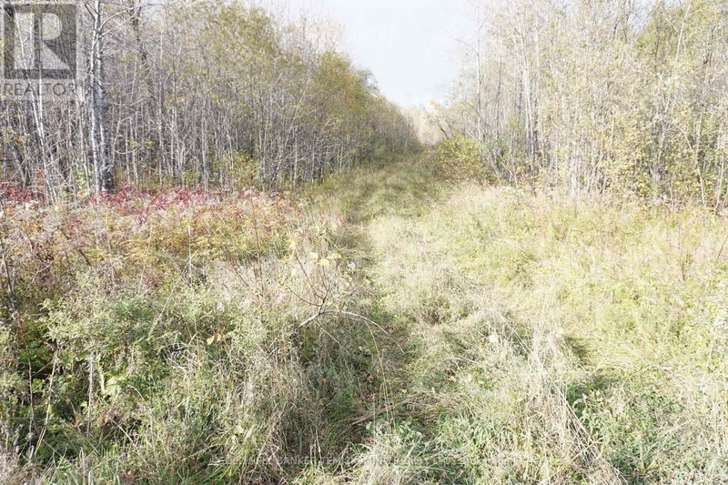 Lot 1A CAMPBELLS Road  Timiskaming Remote Area, P0J1B0 | Image 4