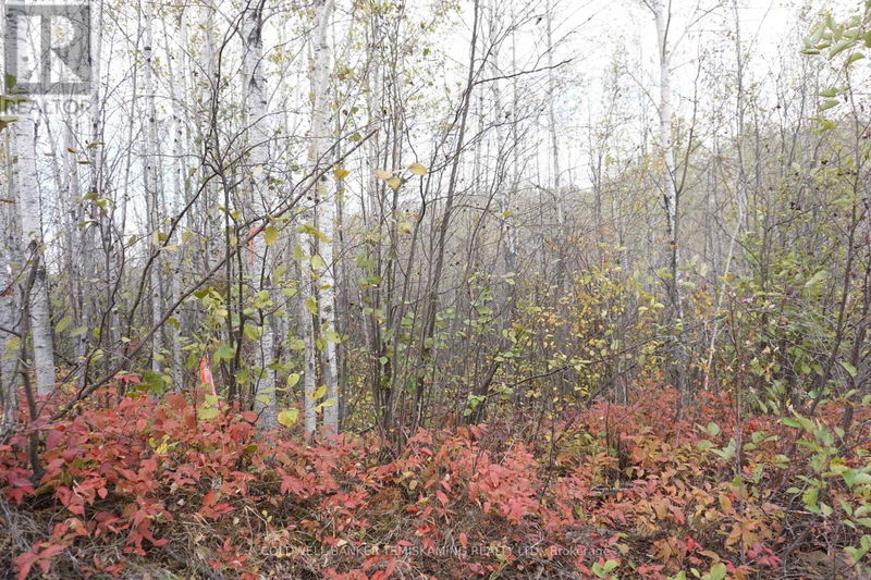 Lot 1A CAMPBELLS Road  Timiskaming Remote Area, P0J1B0 | Image 8