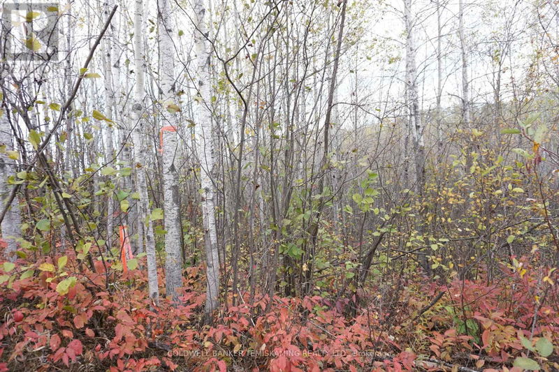 Lot 1A CAMPBELLS Road  Timiskaming Remote Area, P0J1B0 | Image 9