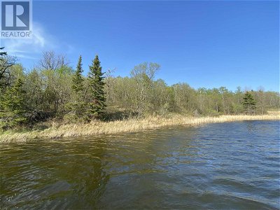 Image #1 of Commercial for Sale at Lot 14 Big Narrows Island Lake Of The Wo, Kenora, Ontario