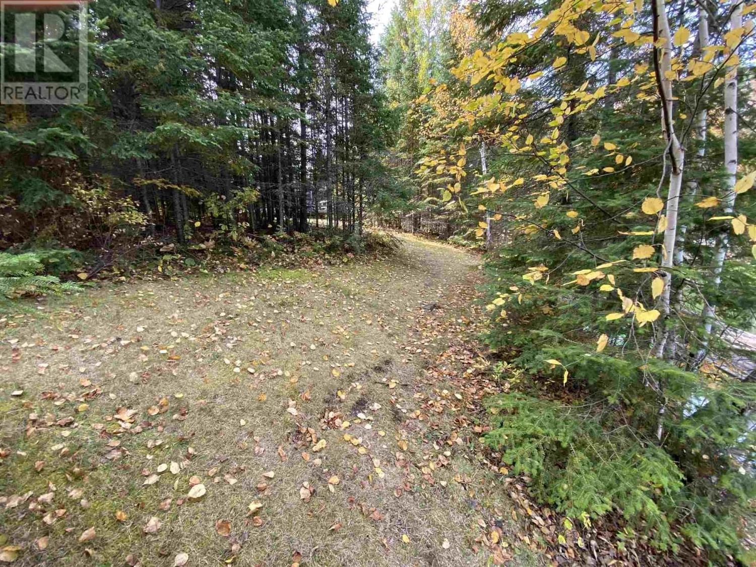Lot 16 Brule Point|Lake of the Woods Image 8