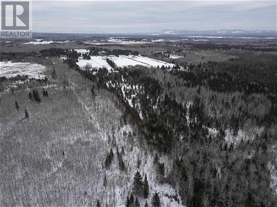 Image #1 of Commercial for Sale at Nicholetts Rd, Murillo, Ontario