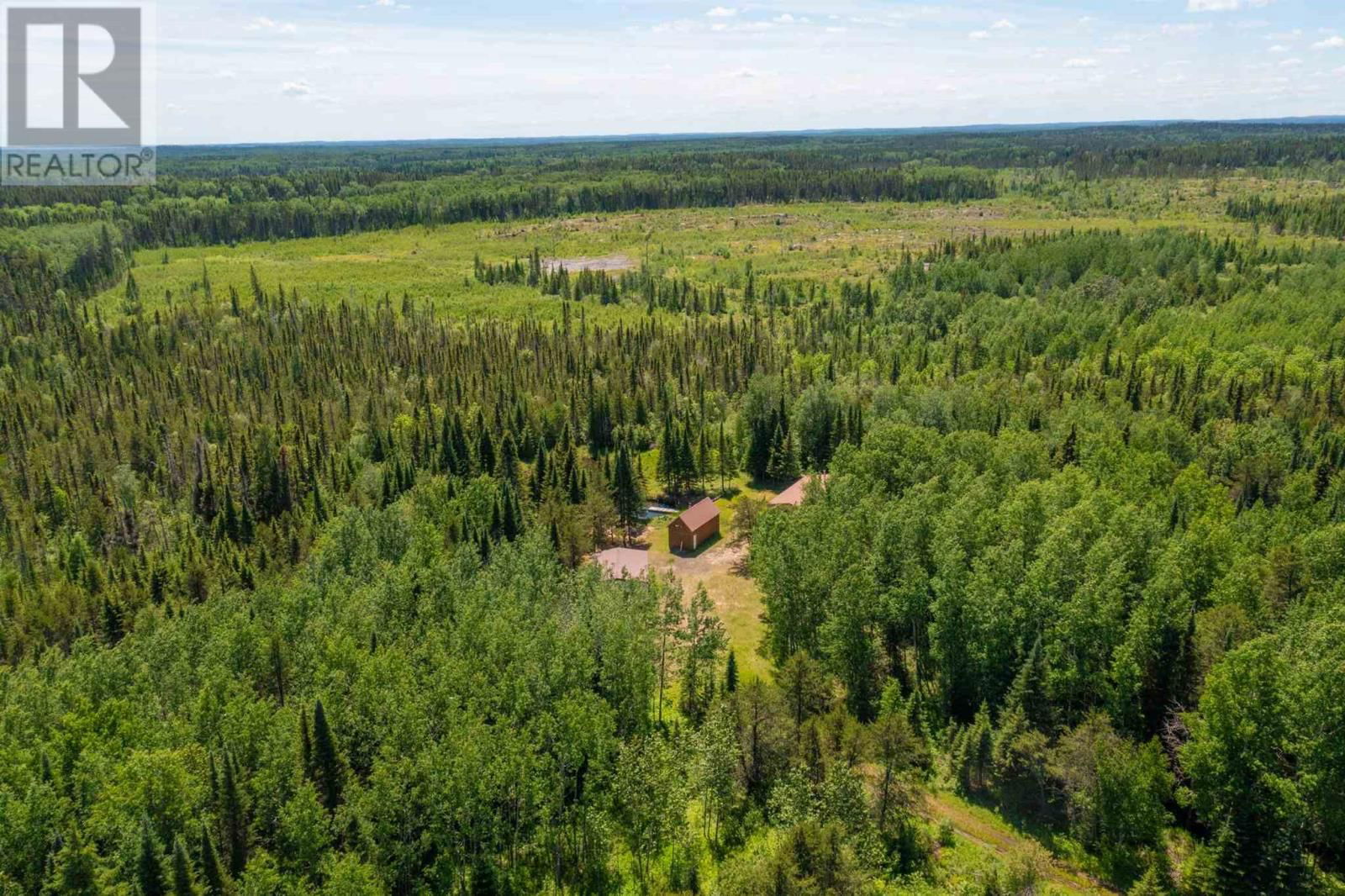 1 BEAR CAMP Image 6