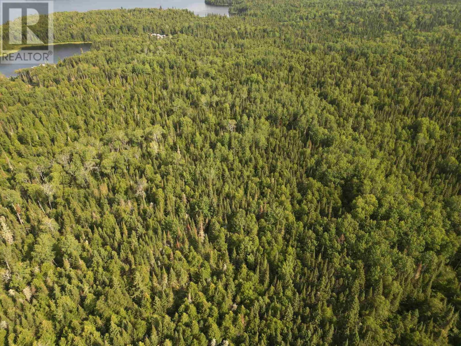 00 ATHELSTANE LAKE RD Image 39