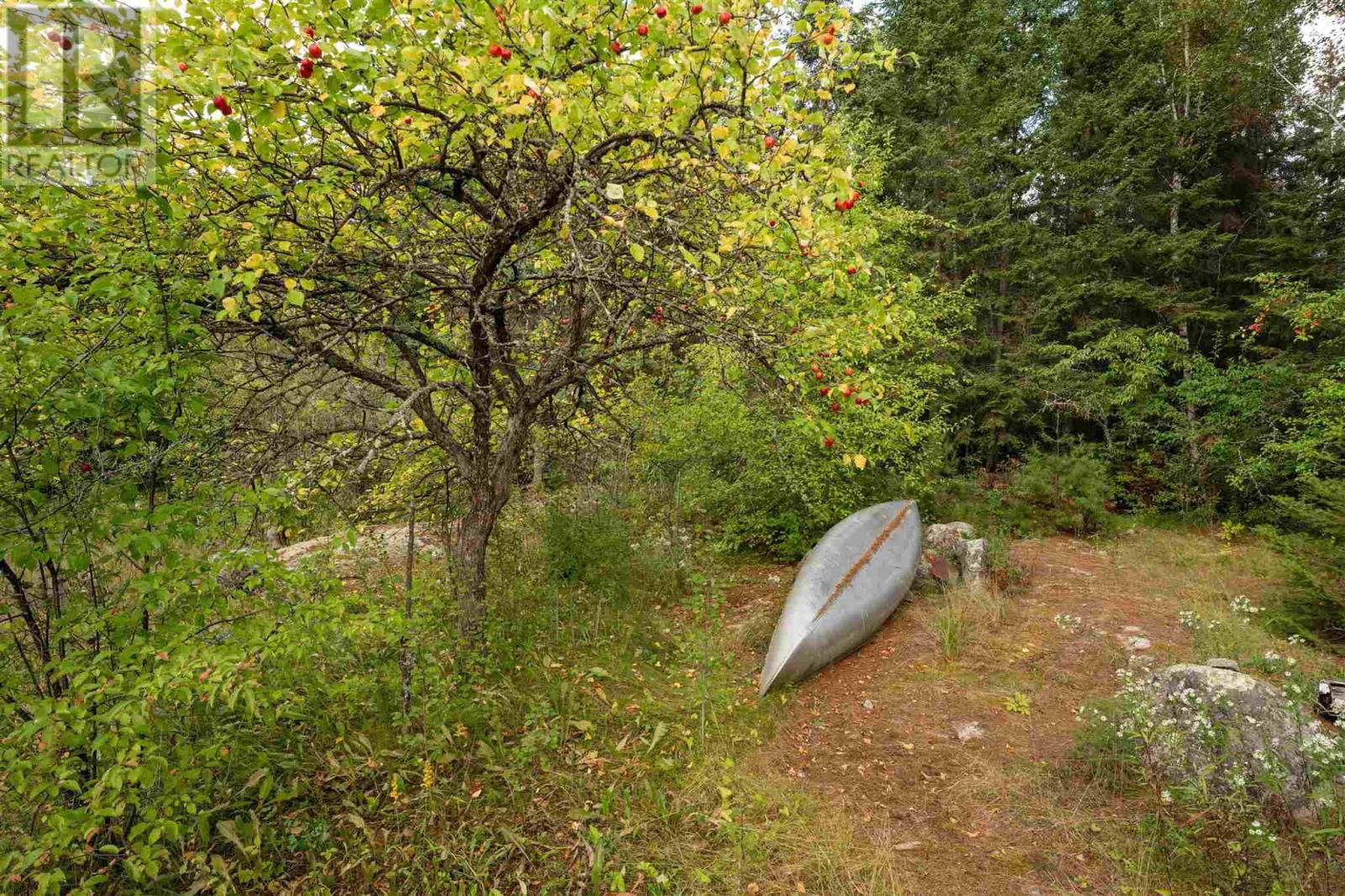 Island S922 Sand Lake Winnipeg River Image 29