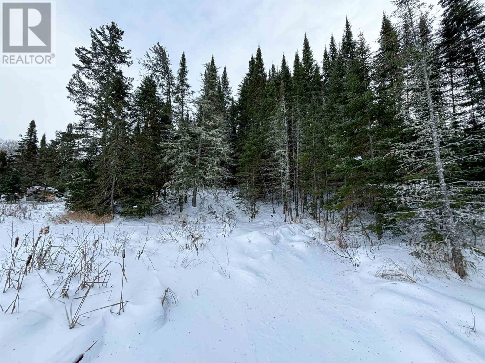 4 GRASSY LAKE Image 21