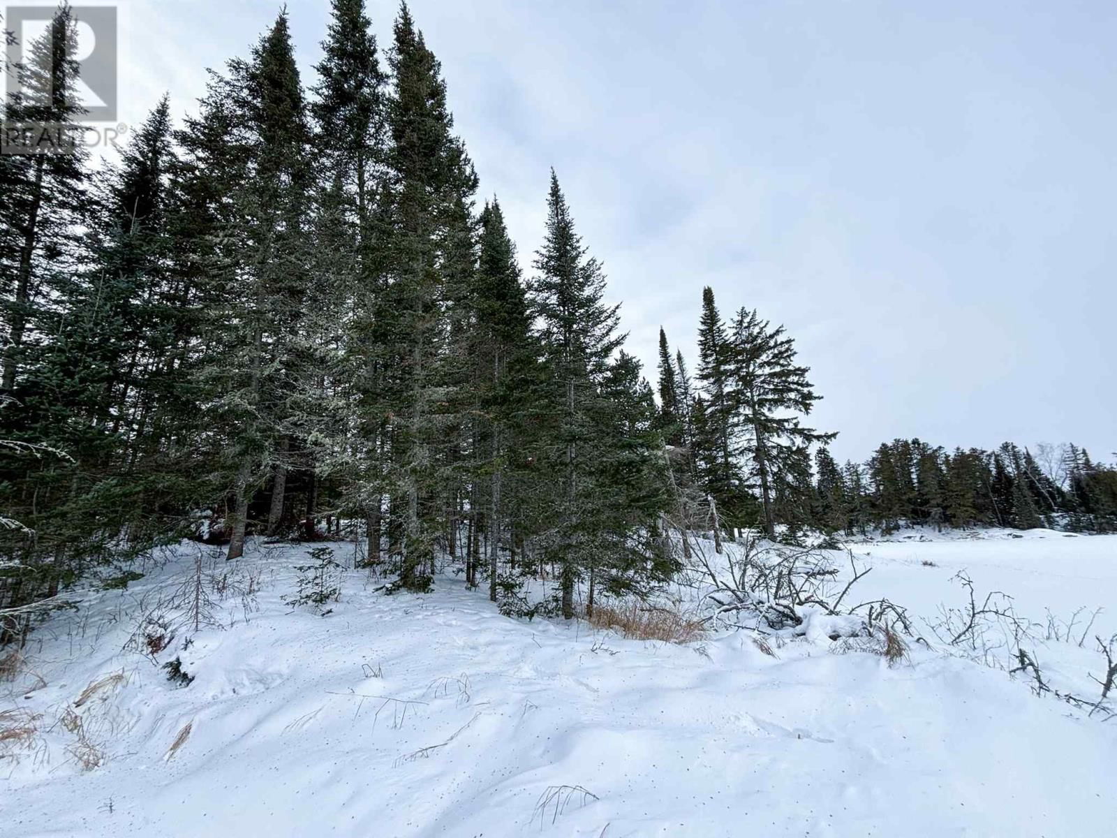 4 GRASSY LAKE Image 22