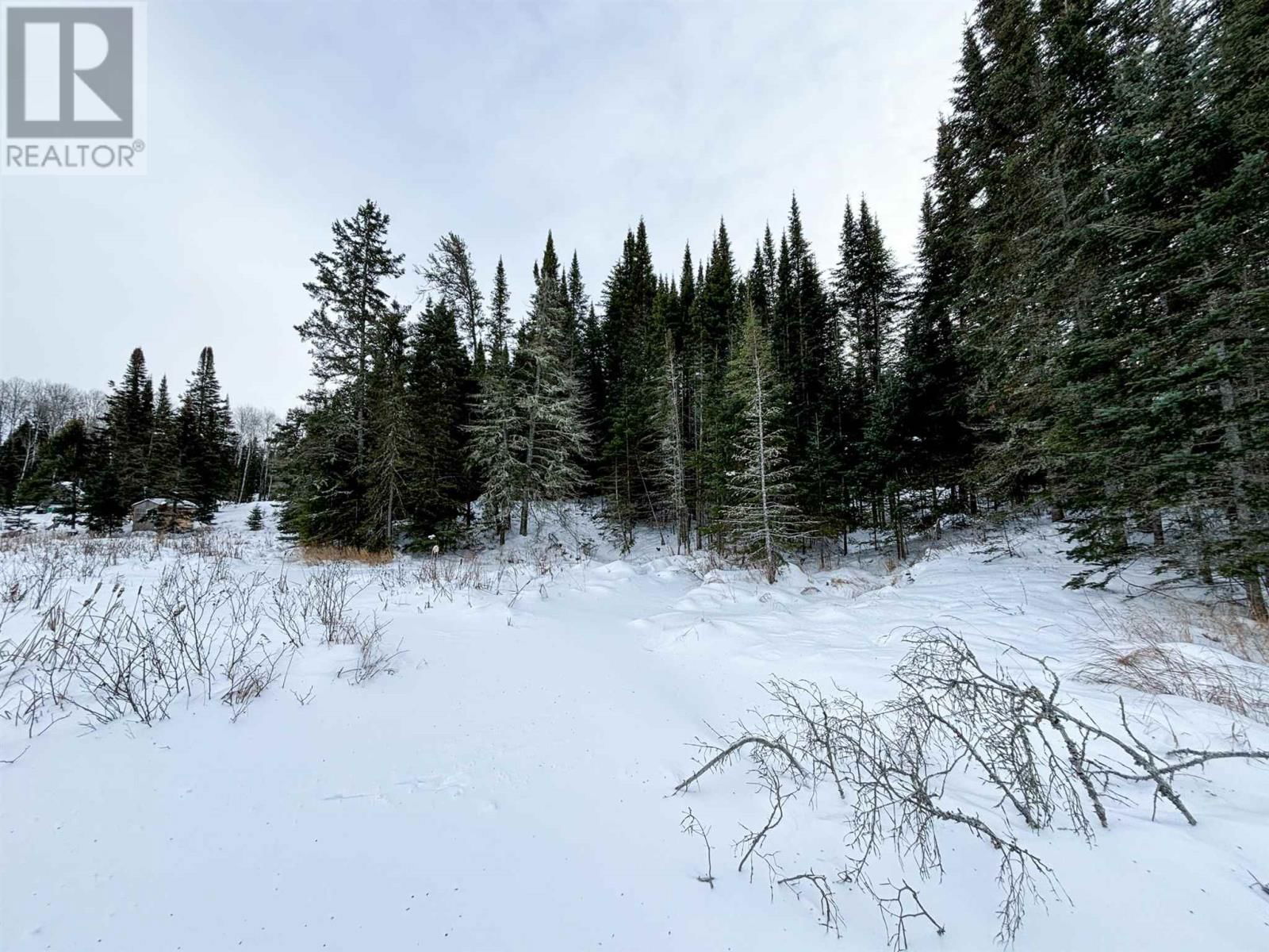 4 GRASSY LAKE Image 23