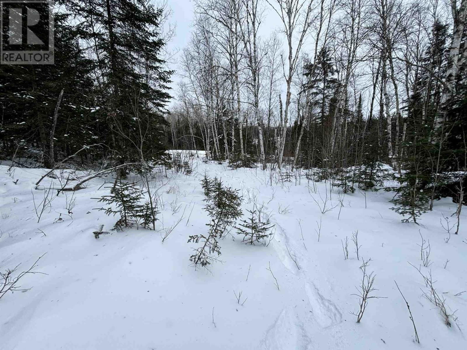 4 GRASSY LAKE Image 24