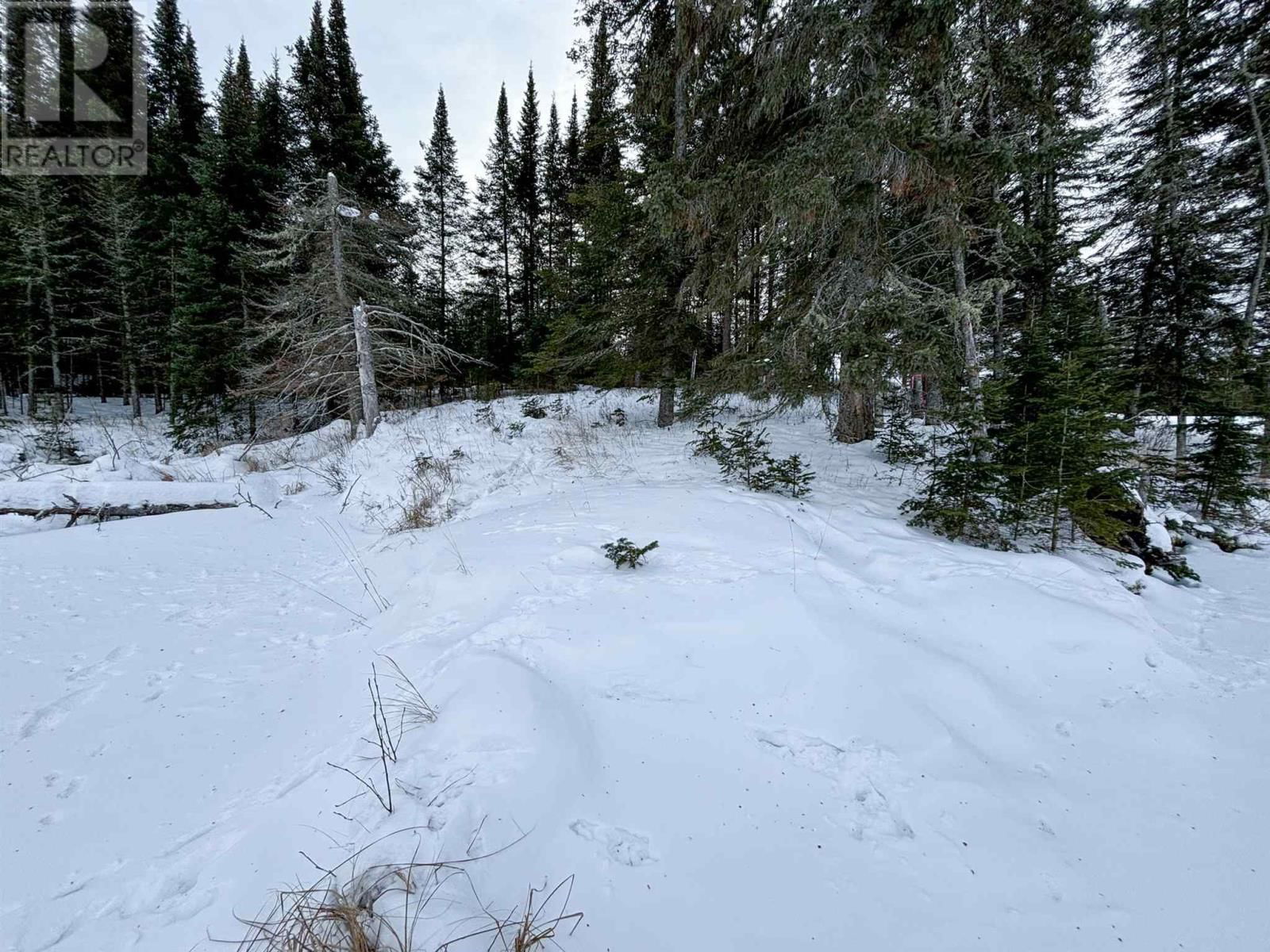 4 GRASSY LAKE Image 25