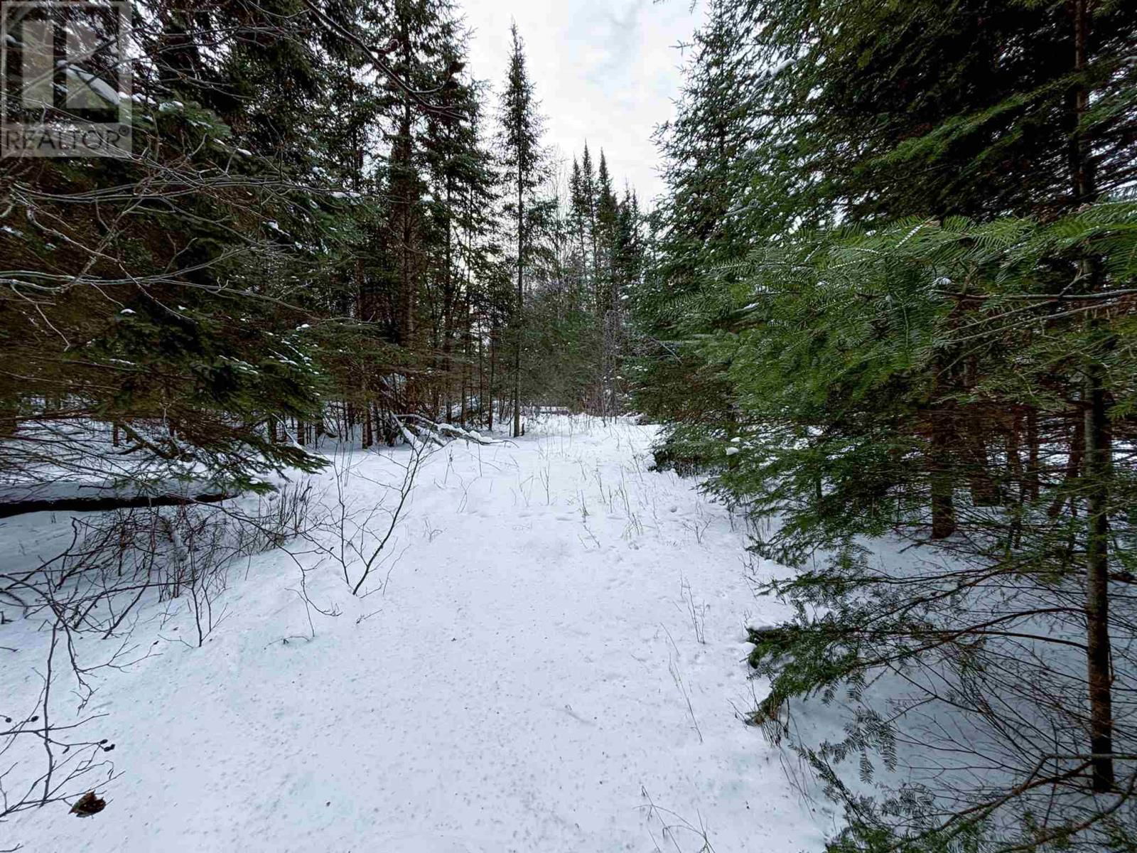 4 GRASSY LAKE Image 26