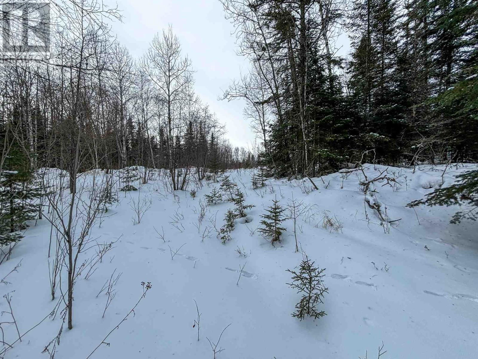 4 GRASSY LAKE Image 28