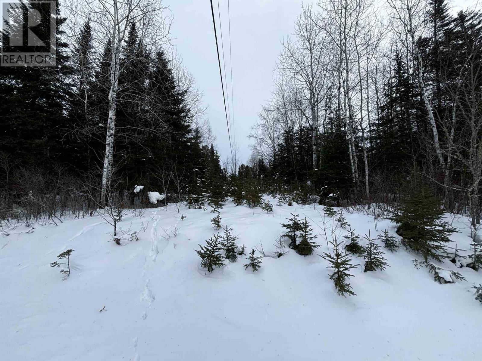4 GRASSY LAKE Image 29