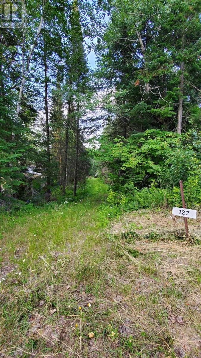 127 HARRIS CRES Image 5