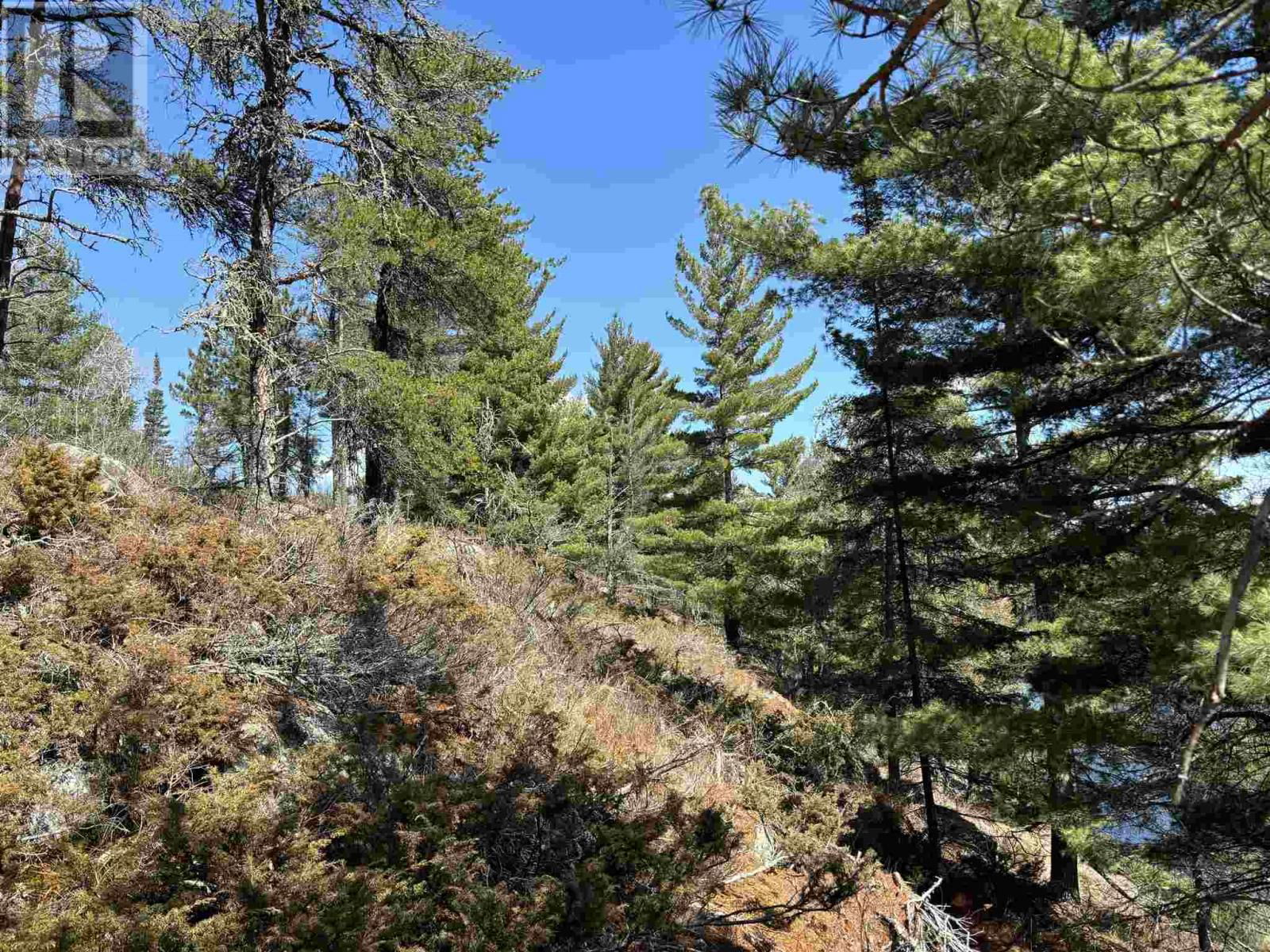 4 PETERSON DR Image 24