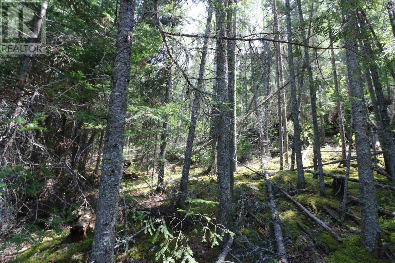 23R-14679 LITTLE SAND LAKE Image 10