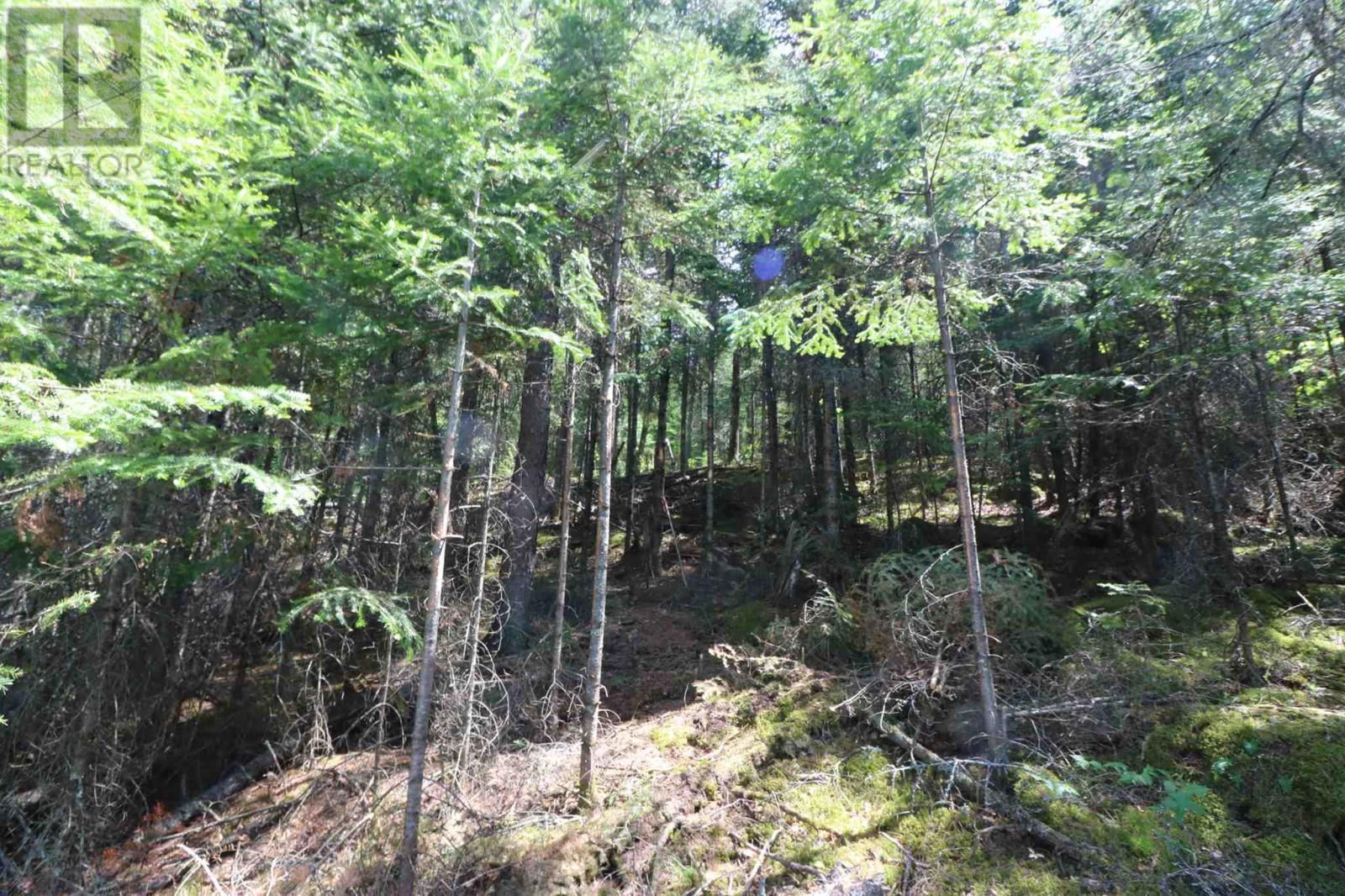 23R-14679 LITTLE SAND LAKE Image 14