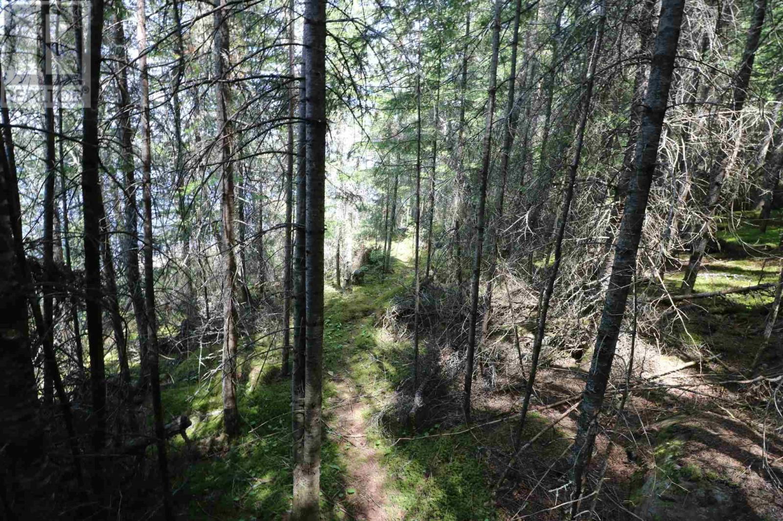 23R-14679 LITTLE SAND LAKE Image 19