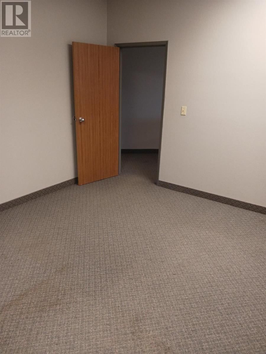 202 - 920 TUNGSTEN ST Image 7