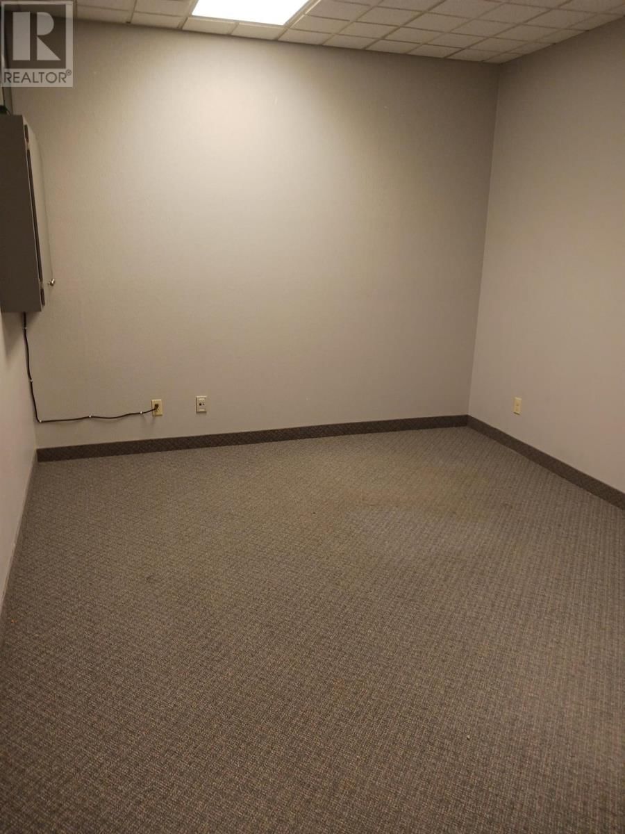 202 - 920 TUNGSTEN ST Image 9