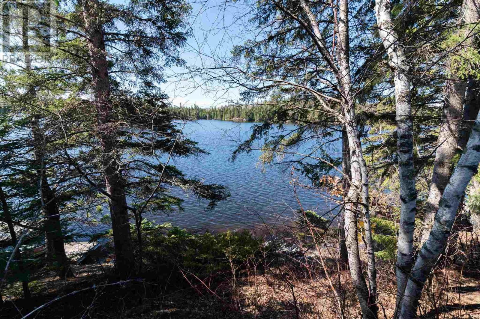 402 BIRCHGROVE RD Image 38