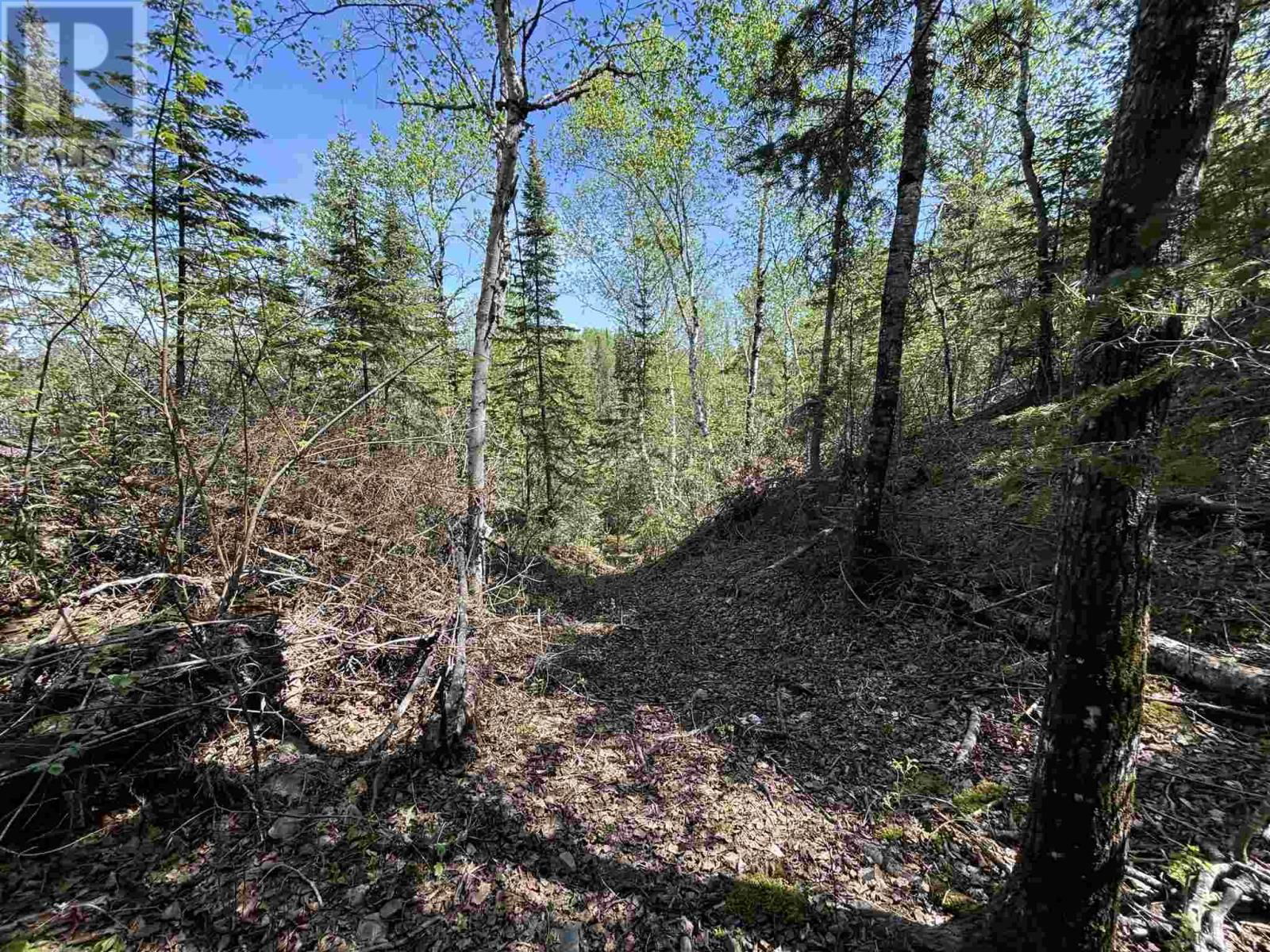 LAKE OF THE WOODS - DEVILS GAP Image 24