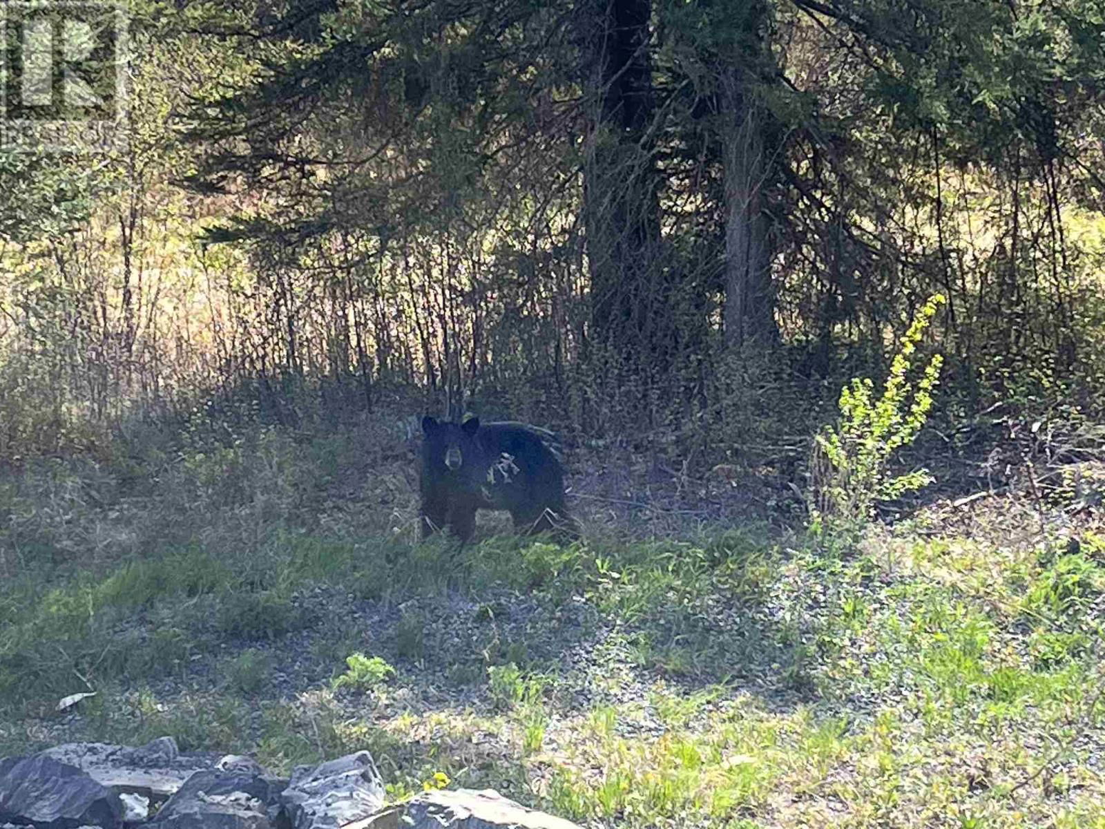 K8334 SHOAL LAKE ROAD Image 32