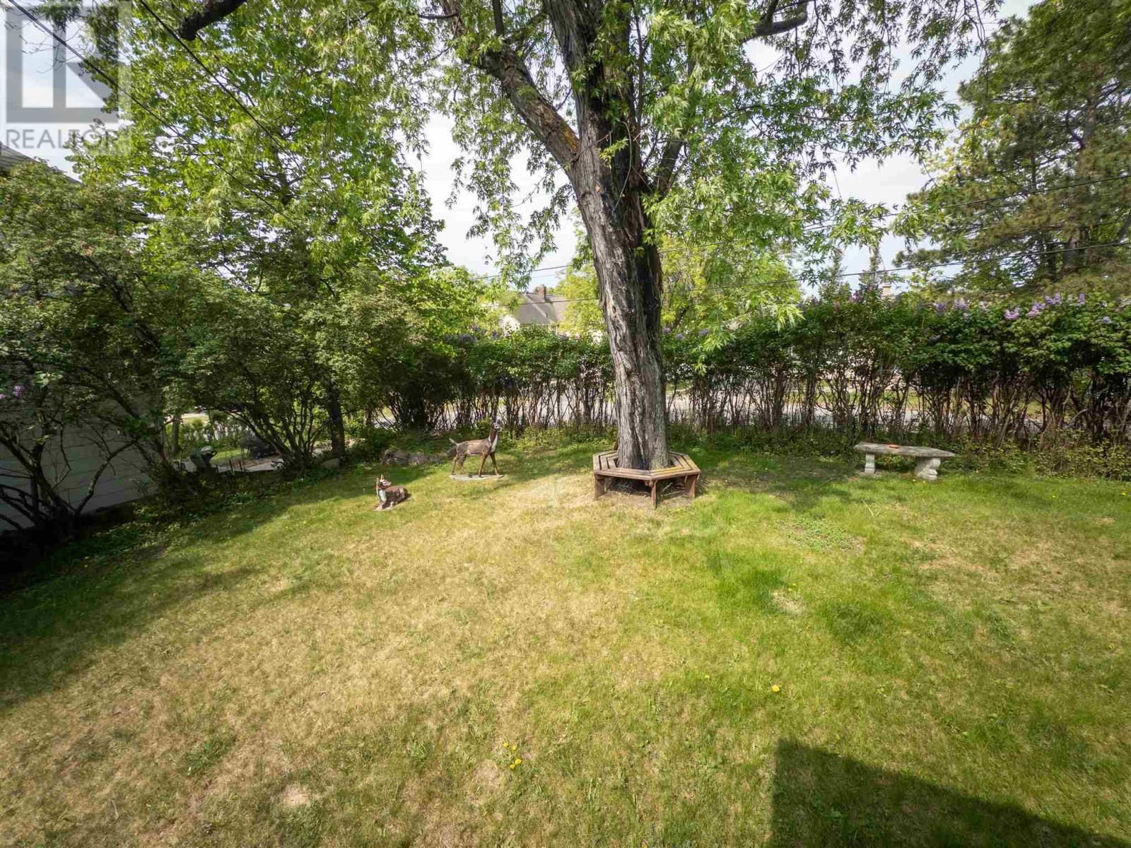 313 MATHESON STREET Image 26