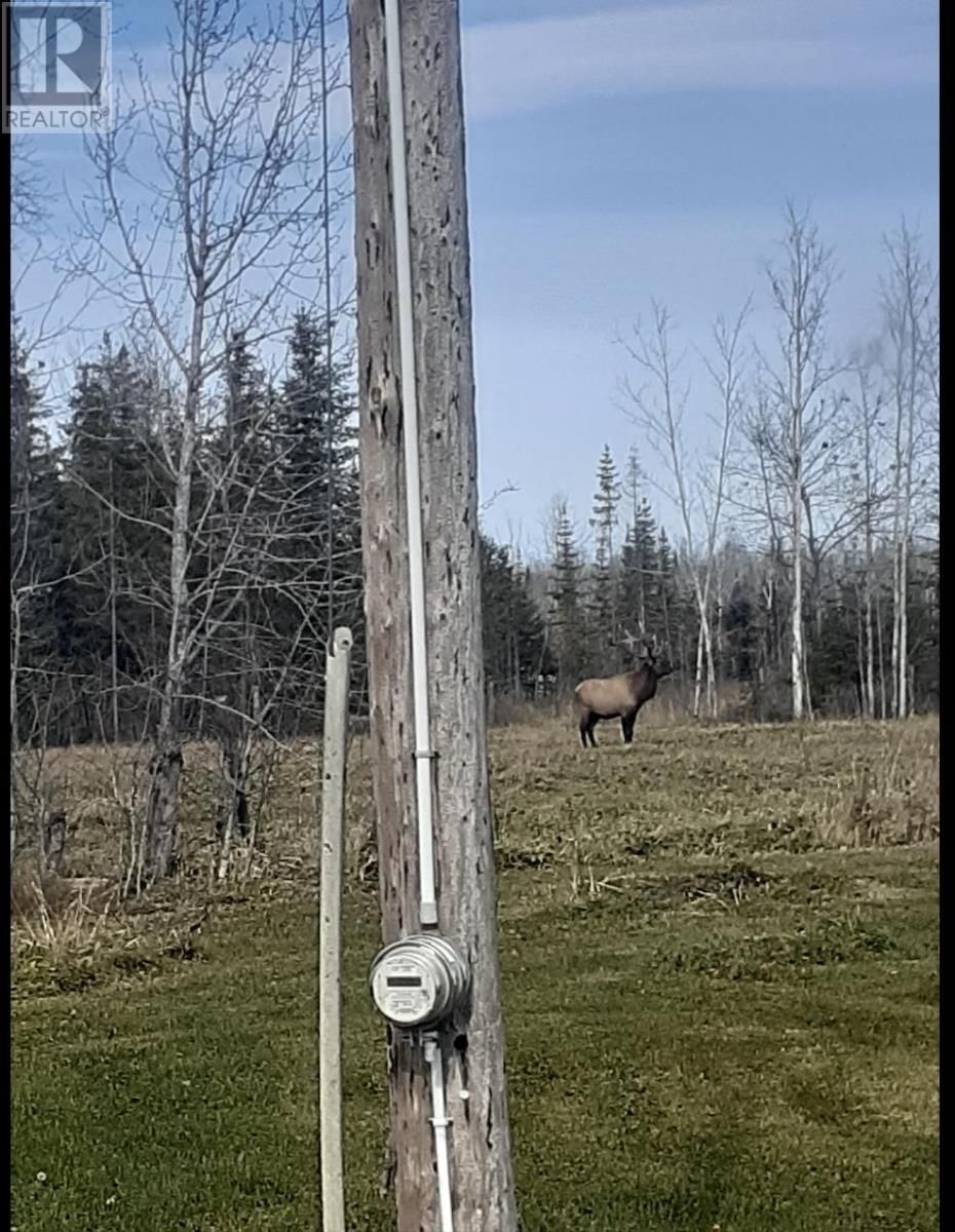 870 MCDIARMID RD Image 33