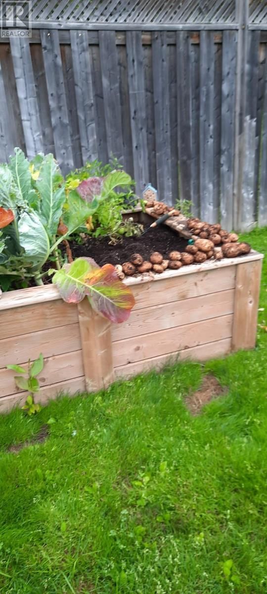 13 MOOSE DRIVE Image 43