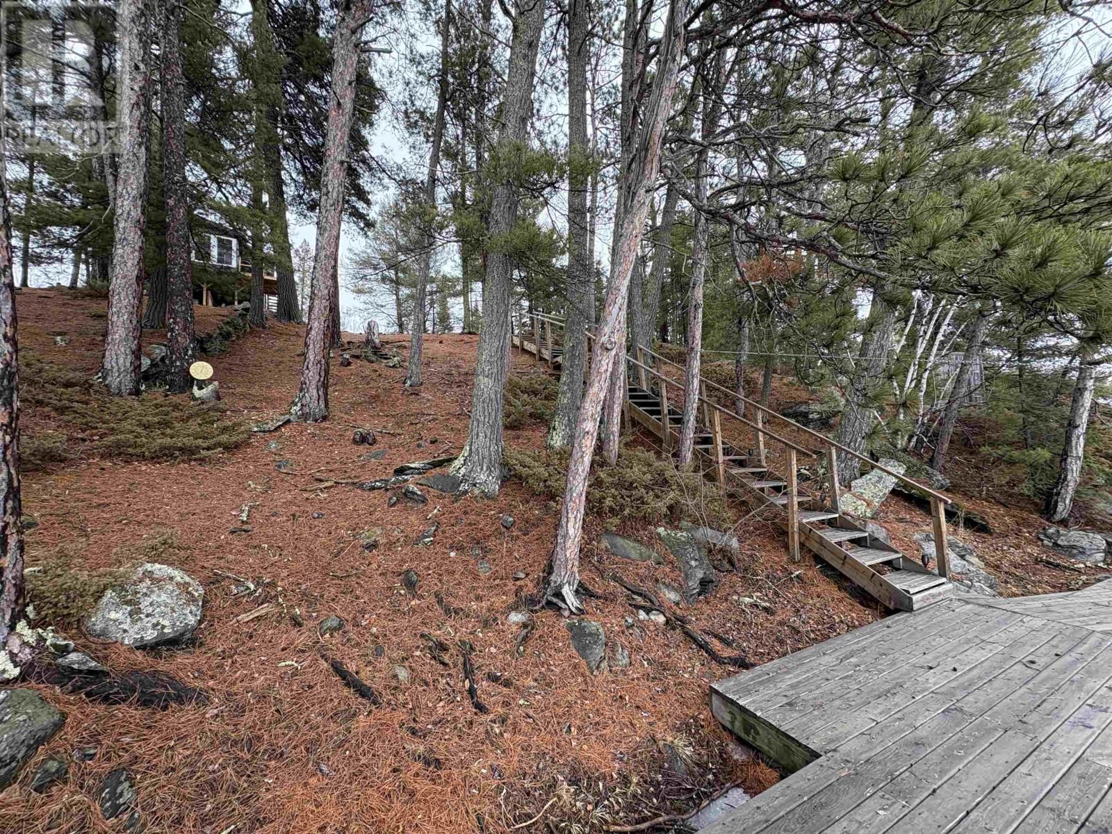 283 JAPADA TRL Image 11