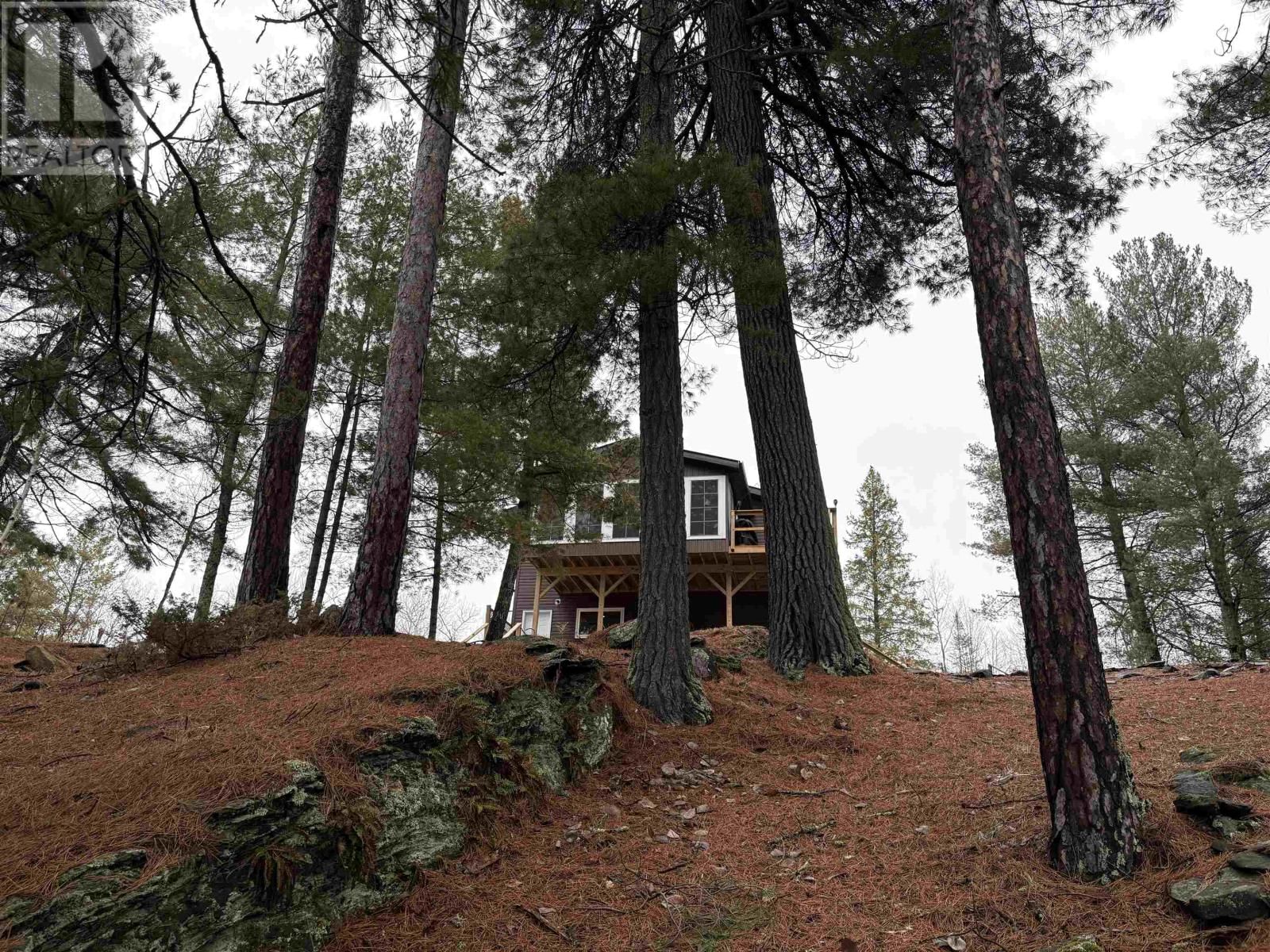 283 JAPADA TRL Image 3