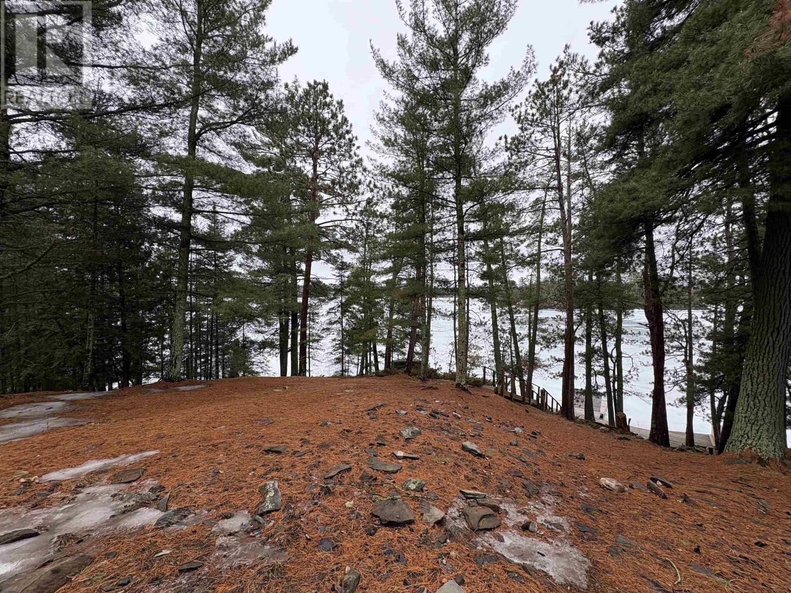 283 JAPADA TRL Image 47